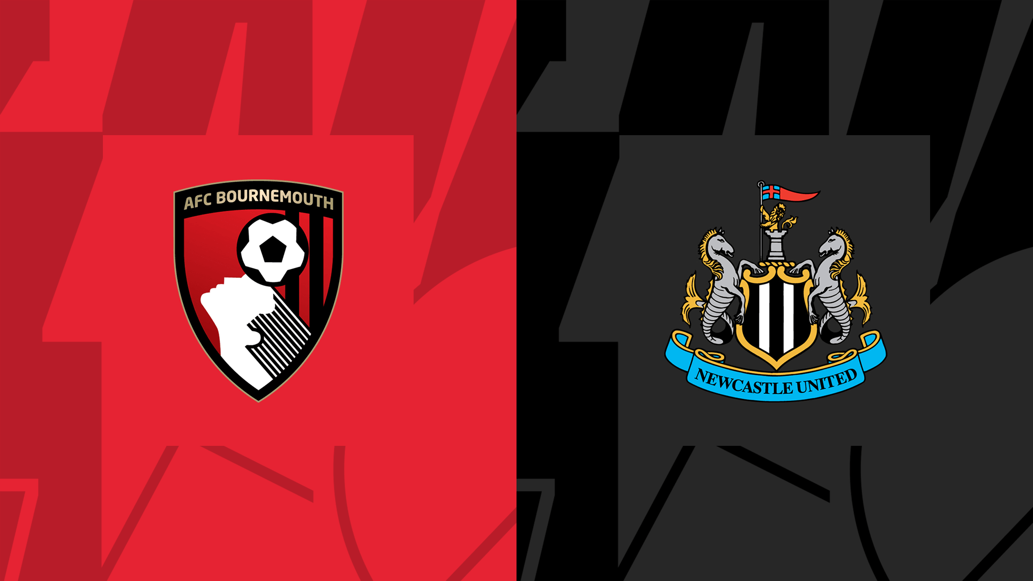 Bournemouth vs Newcastle United, Match Preview, on TV & Live Stream Information
