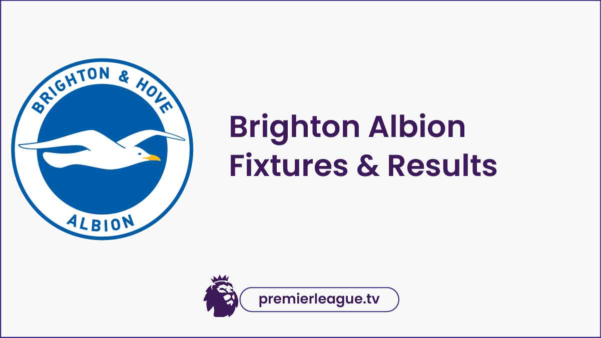 Brighton Fixtures 2024